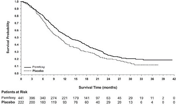 Kaplan-Meier Curves for Overall Survival in Study JMEN - Illustration Kaplan-Meier Curves for Overall Survival in Study JMEN - Illustration