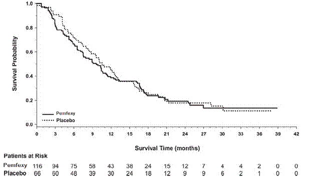 Kaplan-Meier
Curves for Overall Survival in Squamous NSCLC in Study JMEN - Illustration Kaplan-Meier
Curves for Overall Survival in Squamous NSCLC in Study JMEN - Illustration