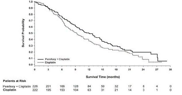 Kaplan-Meier
Curves for Overall Survival in Study JMCH - Illustration Kaplan-Meier
Curves for Overall Survival in Study JMCH - Illustration