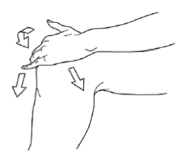 Apply PENNSAID evenly around the front, back, and sides of your knee - Illustration Apply PENNSAID evenly around the front, back, and sides of your knee - Illustration