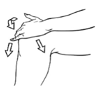 Apply PENNSAID evenly around the front, back, and sides of your knee - Illustration Apply PENNSAID evenly around the front, back, and sides of your knee - Illustration