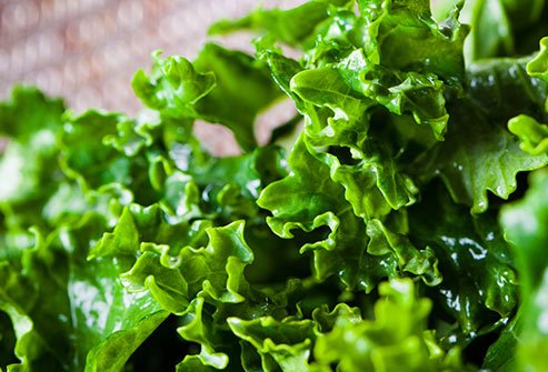 Kale is one of the most nutrient-dense leafy greens. 