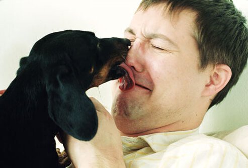 Dog licking man's face.