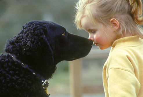 A girl and a dog.