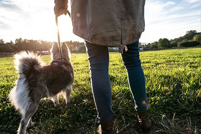 Exercising for 40 minutes three to four times a week is a good way to reduce heart disease risk factors.