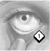 How to use PILOPINE HS - illustration 1