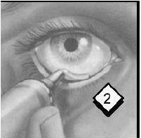 How to use PILOPINE HS - illustration 2