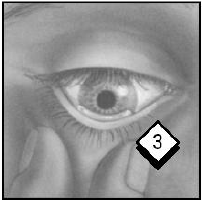 How to use PILOPINE HS - illustration 3