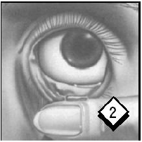 Easy Fingertip Application - illustration 2