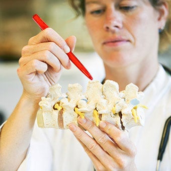 A doctor points to an anatomic model of the spine and spinal nerves.