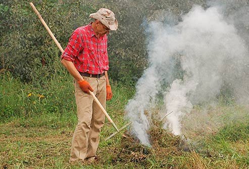 It's usually safe to breathe where poison plants grow.