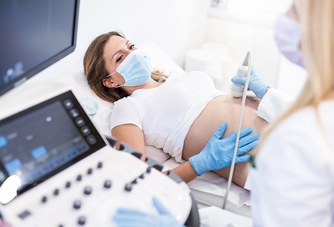 The 19th week of pregnancy or the 5th month of pregnancy is when most of the major organs and organ systems have formed in the fetus