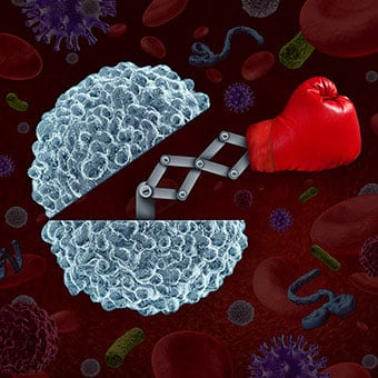 Immune cells fight off bad microbes.