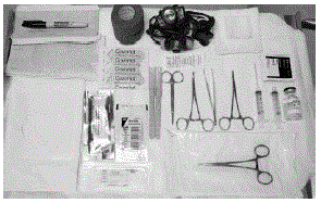 Pick up the skin edge
with Adson single-toothed tissue forceps and separate the tissues above and
below the first visualized implant using an iris scissors or a curved mosquito
forceps - Illustration