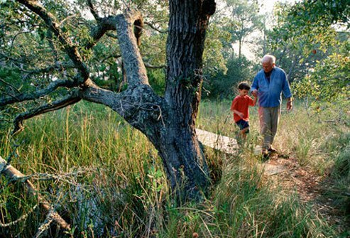 Photo of grandfather walking with grandson.