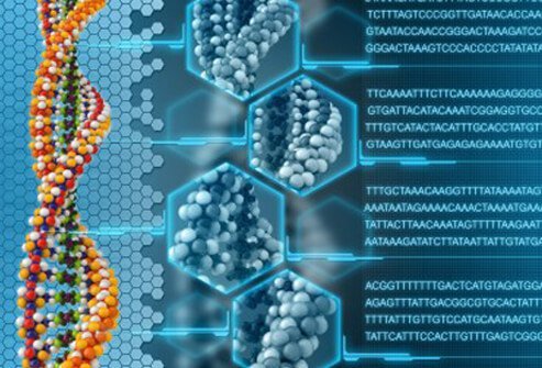 The exact cause of psoriatic arthritis is unknown, but it is believed to involve genetics, the environment, and a malfunction of the immune system.