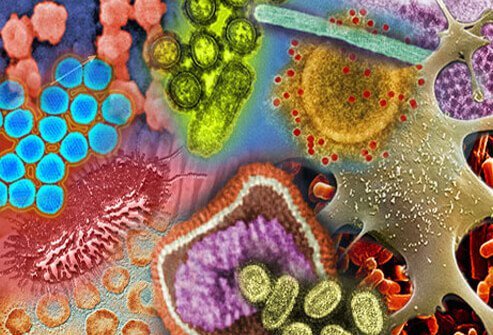 The body's respiratory system includes the nose, sinuses, mouth, and throat.