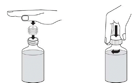 Press the bottle adaptor into the neck of the bottle - Illustration Press the bottle adaptor into the neck of the bottle - Illustration