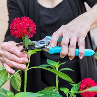 Loss of joint function may occur with rheumatoid arthritis due to joint pain and swelling.