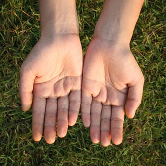 Ringworm that involves the hands is called tinea manus.