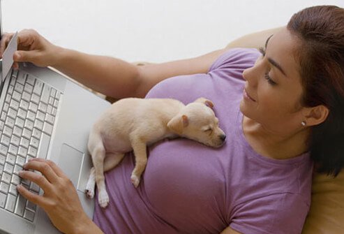 A puppy laying on a woman.
