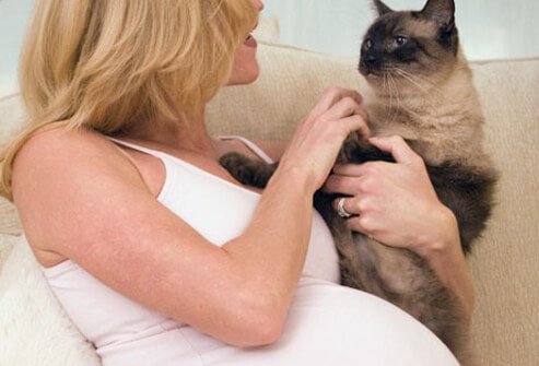 A pregnant woman with her cat.