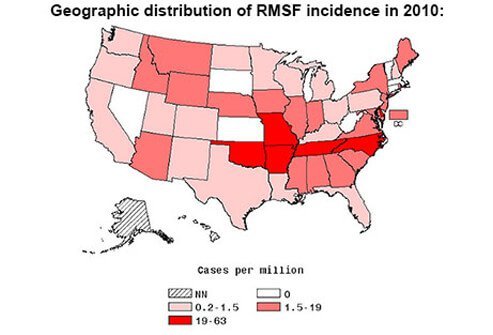 Rocky Mountain spotted fever is a seasonal disease and occurs throughout the United States during the months of April through September.