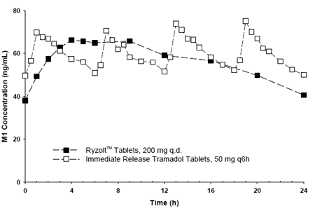 Mean M1 Plasma Concentrations at Steady State - Illustration