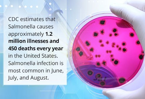 Salmonella kills 450 people each year in the United States.