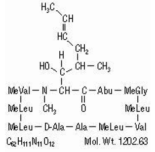 Sandimmune® Structural Formula Illustration
