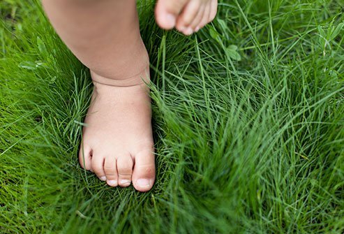 Dirt is probably not going to stop your allergies.