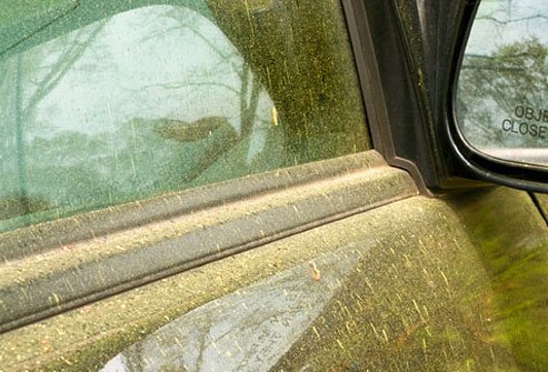 Allergy counts can help you stay ahead of your symptoms.
