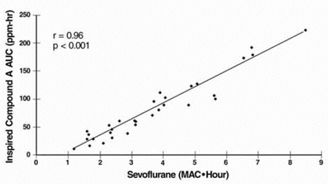 ppm·hr versus MAC·hr at Flow Rate of 1 L/min - Illustration