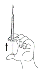 Push up on the plunger until you see a
drop of liquid on the tip of the needle - Illustration