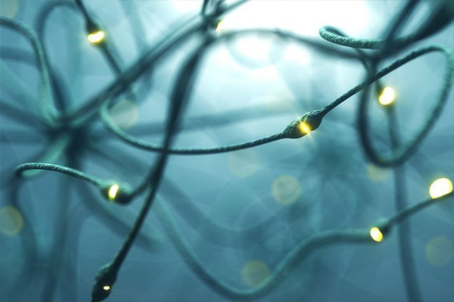 Mental fatigue triggers your sympathetic nervous system
