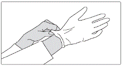 Put on disposable gloves  Illustration