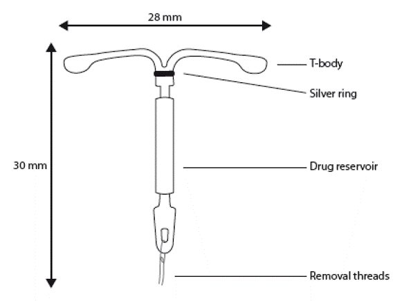 The components of Skyla - Illustration The components of Skyla - Illustration