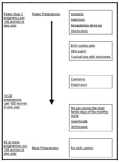 Chart showing the chance of getting pregnantt - Illustration Chart showing the chance of getting pregnantt - Illustration