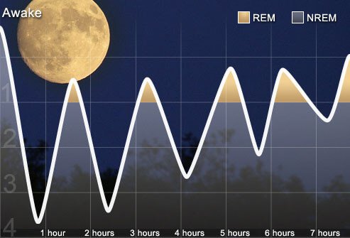 A sleep cycle graph.