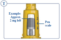 The Pen scale shows you approximately how much SOGROYA is left in your Pen - Illustration