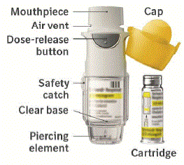 STRIVERDI RESPIMAT inhaler - Illustration STRIVERDI RESPIMAT inhaler - Illustration