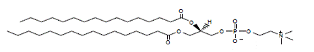 DPPC Structural Formula Illustration