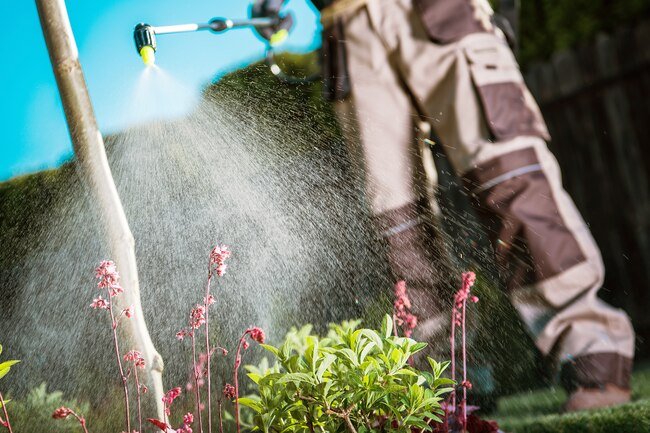 Pesticides may trigger asthma and COPD.