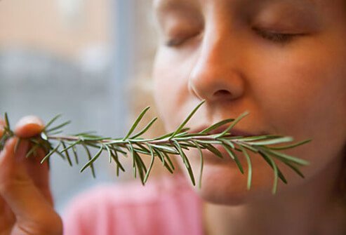 Air fresheners have been found to contain phthalates, formaldehyde, and other harmful chemicals