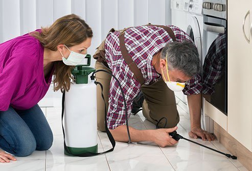Powerful modern pesticides can leave residue that pollutes your home.
