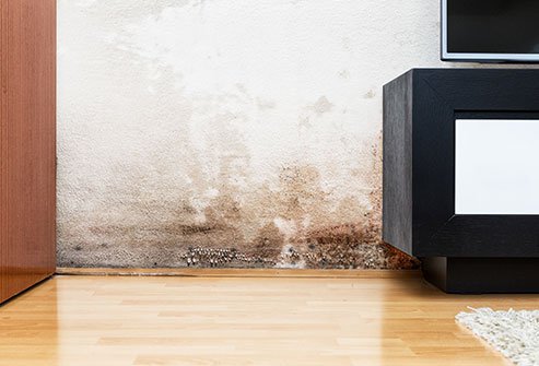 Dampness can lead to mold, and mold in the home can cause serious health problems.
