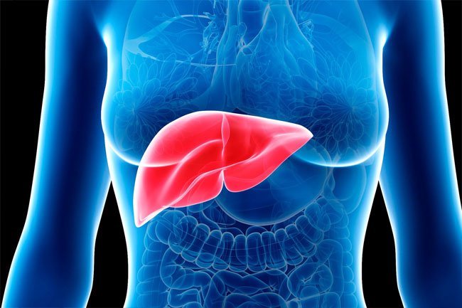 There are more than 100 different liver diseases, but with similar symptoms.