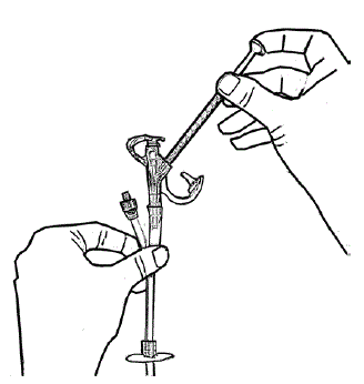 Slowly push down the plunger until the
oral syringe is empty - Illustration