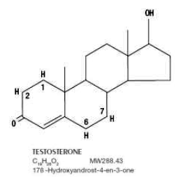 TESTOPEL® (testosterone) Structural Formula Illustration