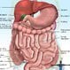Indigestion (Dyspepsia, Upset Stomach Pain)